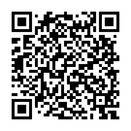 QR code for ZJP591
