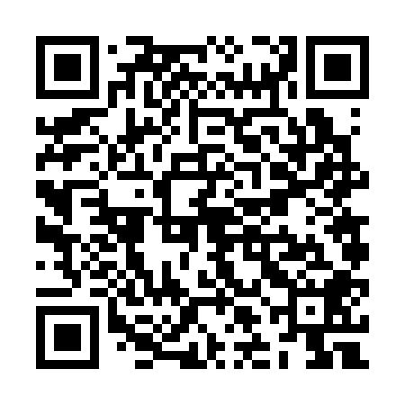 QR code for ZLF308
