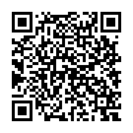 QR code for ZLN125