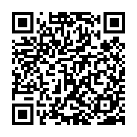 QR code for ZLS405