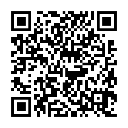 QR code for ZLS685