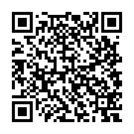 QR code for ZLV119