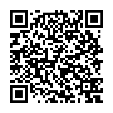 QR code for ZLX339