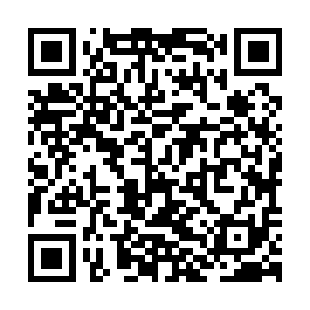 QR code for ZLZ111