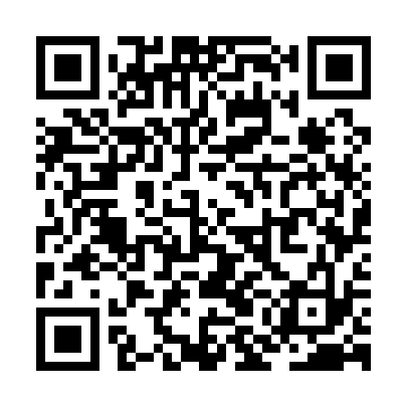 QR code for ZMG133
