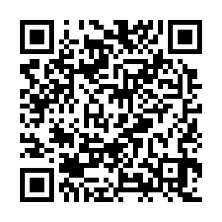 QR code for ZMN333