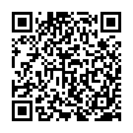 QR code for ZMS917