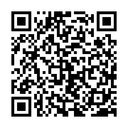 QR code for ZMX371