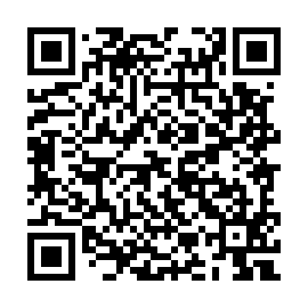 QR code for ZMX595