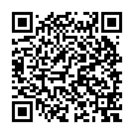 QR code for ZMZ298