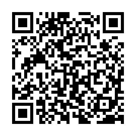 QR code for ZMZ998