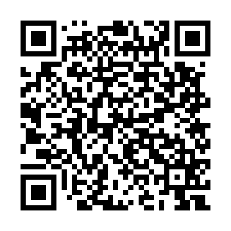 QR code for ZOG565