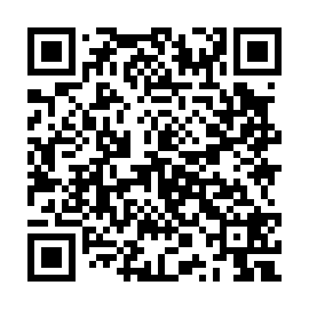 QR code for ZPI028