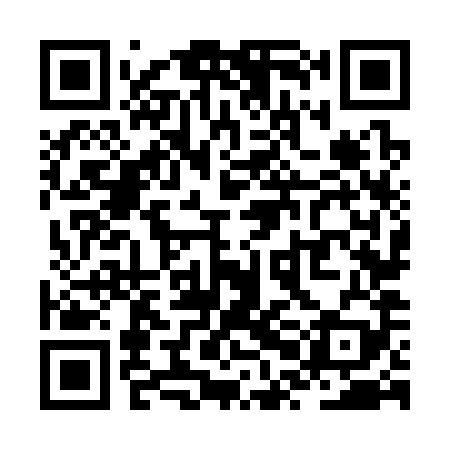QR code for ZPN389