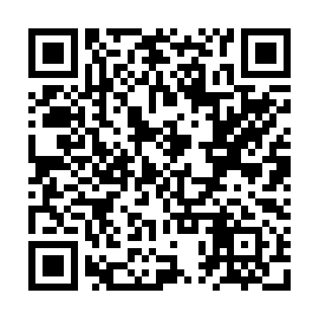 QR code for ZPR291