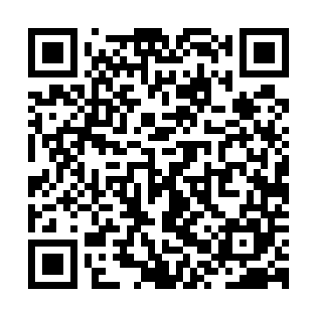 QR code for ZPT545
