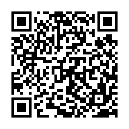 QR code for ZPT616