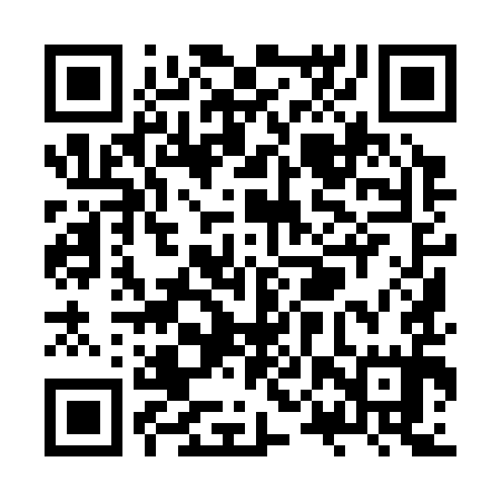 QR code for ZPY395