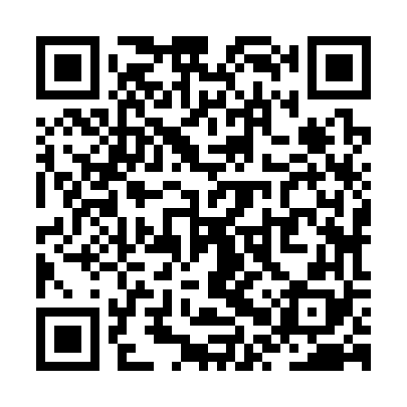 QR code for ZPZ368