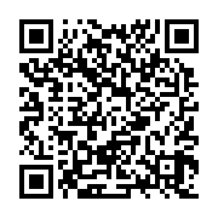 QR code for ZQD309
