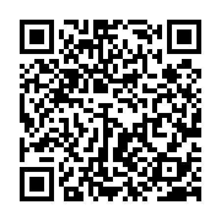 QR code for ZQL538