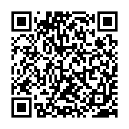 QR code for ZQS393