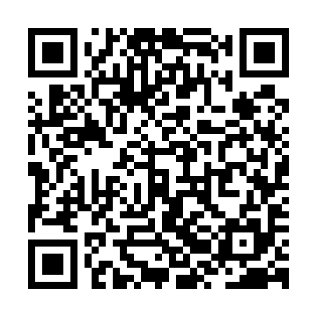 QR code for ZRG595