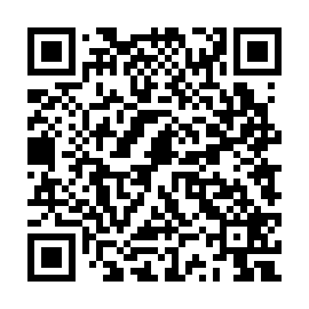 QR code for ZST329
