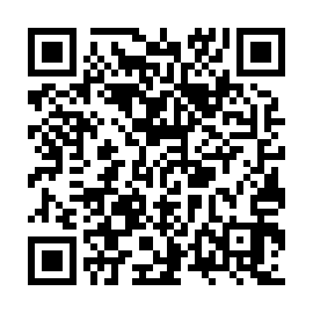 QR code for ZTG813