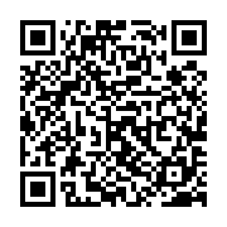 QR code for ZTL595