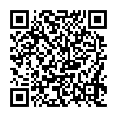 QR code for ZTX376