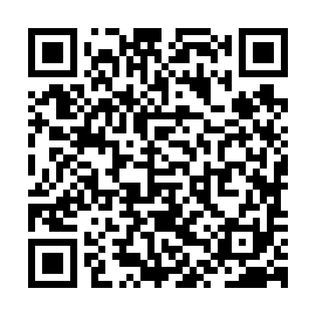 QR code for ZTZ691