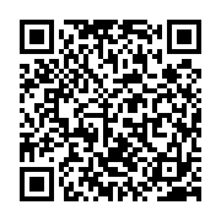 QR code for ZUI533