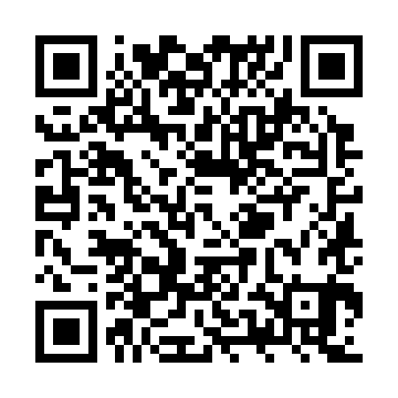 QR code for ZUK381