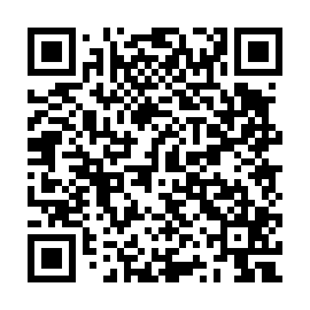 QR code for ZVP405