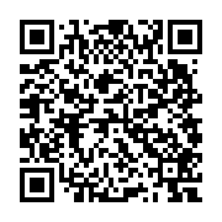 QR code for ZVV609
