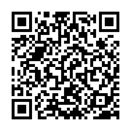 QR code for ZWS919