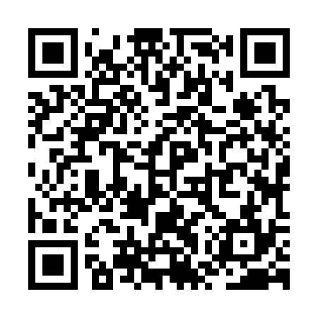 QR code for ZWZ334
