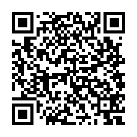 QR code for ZXF119