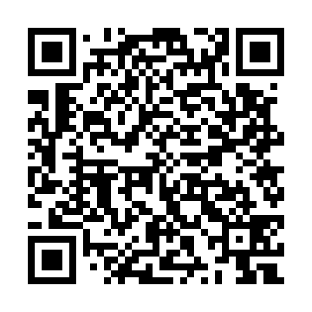 QR code for ZXG539