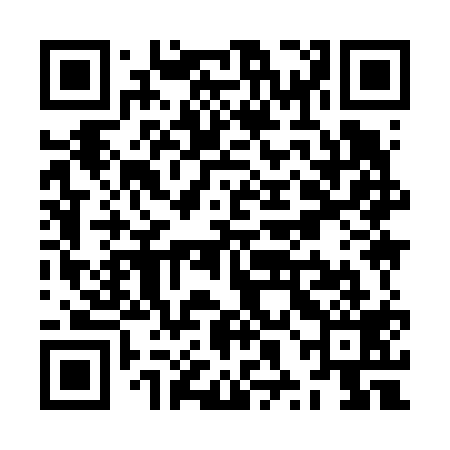 QR code for ZXI619
