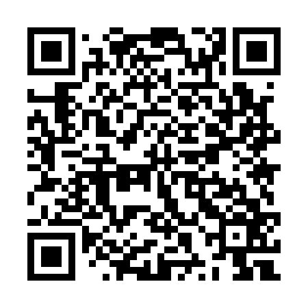 QR code for ZXM166