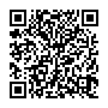 QR code for ZXR009