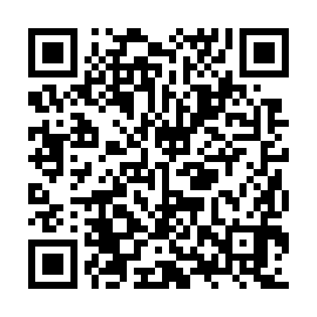QR code for ZXR790