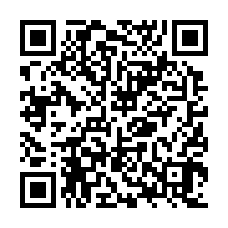 QR code for ZXV302