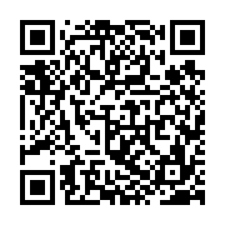 QR code for ZXV636
