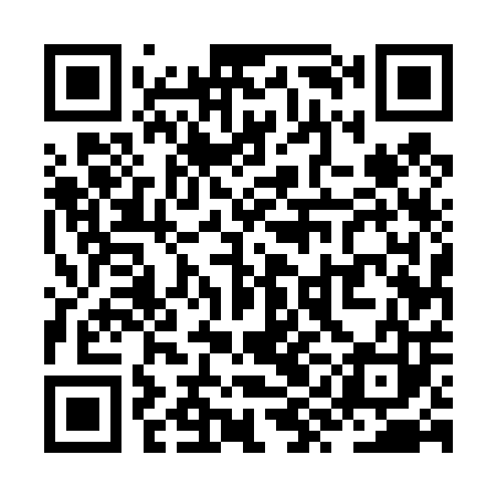 QR code for ZYE403