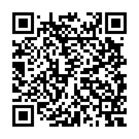 QR code for ZYF096
