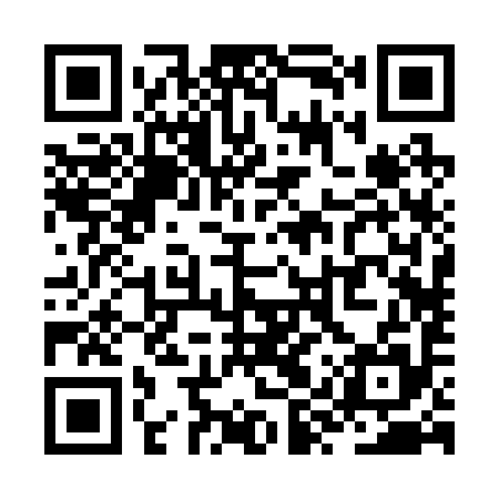QR code for ZYR295