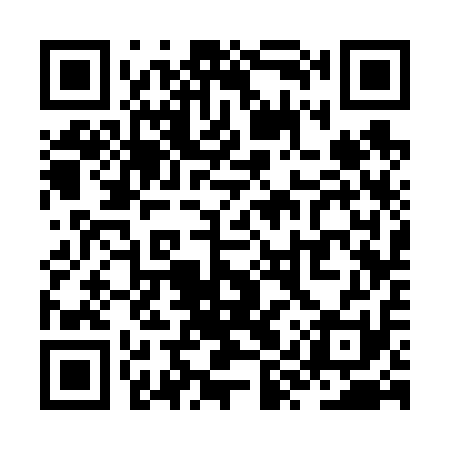 QR code for ZYS611